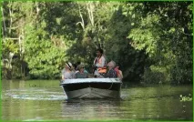 Monkey Trip – джунглі Суматри та Борнео на Новий рік, Асоціація вільних гідів суматри