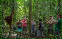 Monkey Trip – джунглі Суматри та Борнео на Новий рік, Асоціація вільних гідів trip