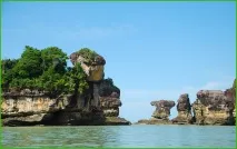 Monkey Trip – джунглі Суматри та Борнео на Новий рік, Асоціація вільних гідів суматри