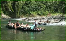 Monkey Trip – джунглі Суматри та Борнео на Новий рік, Асоціація вільних гідів trip