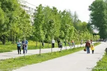 відвідай