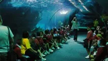 Чудовий океанаріум Siam Ocean World у Бангкоку бангкоку