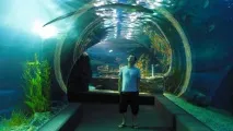 Чудовий океанаріум Siam Ocean World у Бангкоку бангкоку