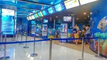 Чудовий океанаріум Siam Ocean World у Бангкоку океанаріум