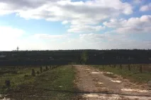 Нова система реабілітації наркоманів, Координаційний центр протидії наркоманії реабілітації