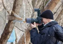 Ну ка, алеша, покажи хто тебе кривдив - Смішні Анекдоти Історії Цитати Афоризми Вірші Зображення алеша