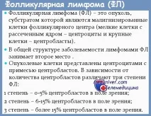 Фолікулярна лімфома зростання