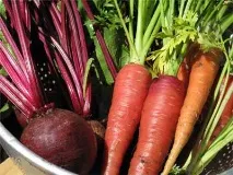 Очищення крові народними засобами засобами
