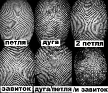 Про що можуть розповісти візерунки на пальцях візерунки