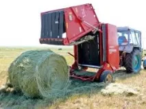 Організація годівлі великої рогатої худоби - AgroXXI великої