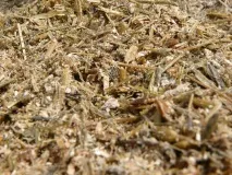 Організація годівлі великої рогатої худоби - AgroXXI організація