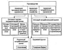 видове