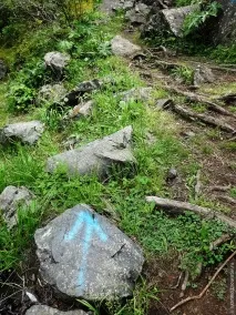Від піщанихбарханів до снігових вершин було