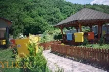 Бджільництво для початківців фото- та відеоогляд, навчальний матеріал фото