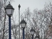 Пам’ятник Морський вовк відчинили біля будівлі Тралфлоту ятник