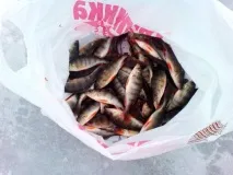 Передавальна кількість котушки кількість
