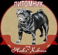 ноевия