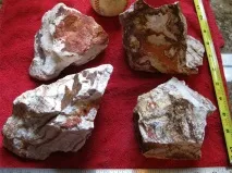 Піщаник для акваріумів, його переваги та недоліки, Плюси та мінуси його