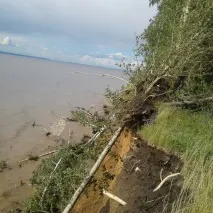 старій