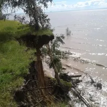 лист