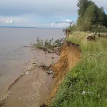 лист