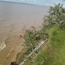 старій