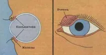 избираме