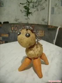 країна