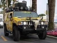 Підвищать штраф за шторки на вікнах авто вп’ятеро шторки
