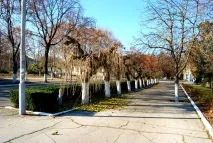 ПРИДНІСТРОВСЬКА МОЛДАВСЬКА РЕСПУБЛІКА Г молдавська