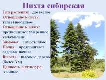 артриту