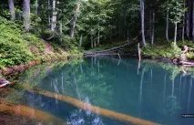 Пшехський водоспад, струмок Водоспадистий водоспад