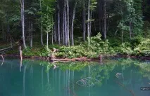 Пшехський водоспад, струмок Водоспадистий водоспад
