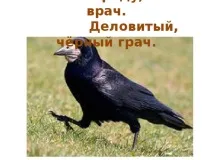 птици