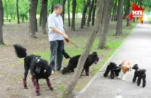 П’ять причин, чому жити за зимовим часом краще причин