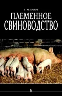 Розводимо свиней породи