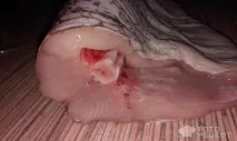 Рецепт Фарширована щука, з рисом, цибулею та морквою рисом
