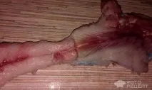 Рецепт Фарширована щука, з рисом, цибулею та морквою цибулею
