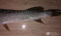 Рецепт Фарширована щука, з рисом, цибулею та морквою рецепт