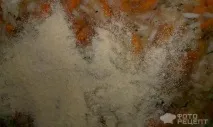 Рецепт Фарширована щука, з рисом, цибулею та морквою фарширована