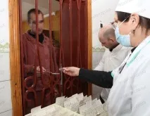 запорізькій