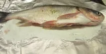 запечена