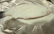 риба