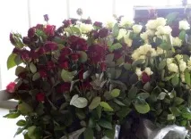 ваті