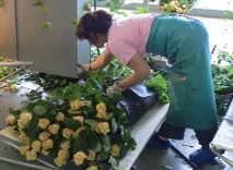 поїхали