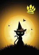 Серія книг «Кіт-блокнот» Кіт-блокнот