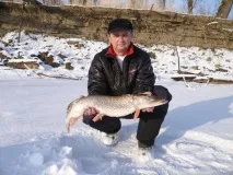 Силіконові приманки взимку - Блешня, балансир та ін. приманки