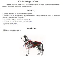 СПОРЯДЖЕННЯ ДЛЯ ЇЗДОВОГО СПОРТУ - Сніговий Ангел розплідник спорту