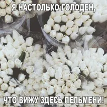 кнедли