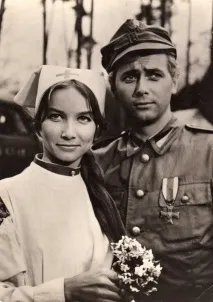 Скільки серій у серіалі - Чотири танкісти та собака серій